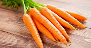 Морковь - культурное растение
