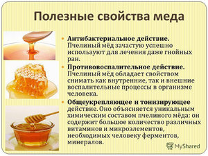 Пчелы мед лекарства польза и вред thumbnail