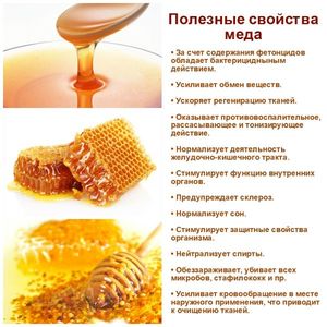 Пчелиный мед и его польза и вред thumbnail