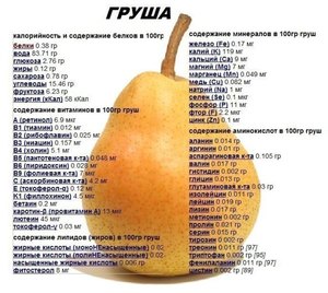 Особенности фрукта груша
