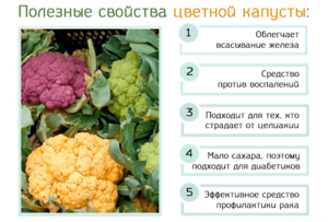 Польза и вред цветной капусты для здоровья