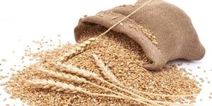 Особенности применения пшеничных отрубей