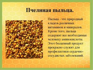 Полезные свойства пчелиной пыльцы 