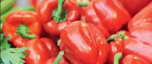  полезные свойства и противопоказания красный болгарский перец