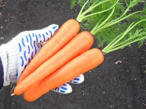 Как использовать морковный сок
