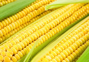 В чем польза кукурузы