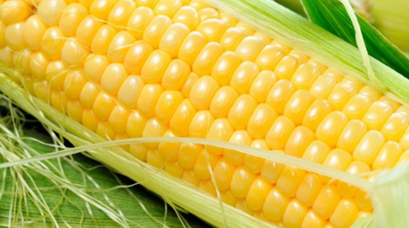 Как используется кукурузная мука