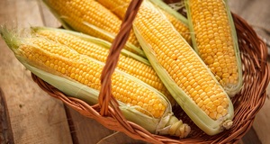 Применение кукурузы в кулинарии