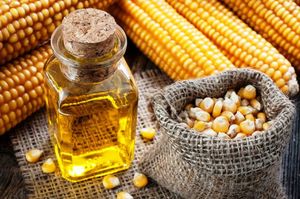 Кукурузное масло как продукт питания
