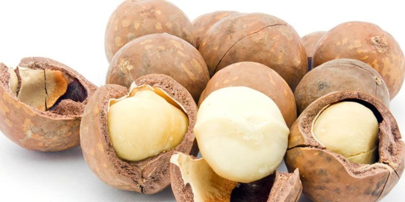Полезные свойства ореха макадамия
