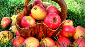Польза и вред яблок в разных видах для организма человека