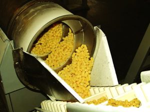 Этапы изготовления кукурузных палочек