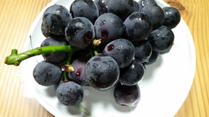 Виноград это фрукт или ягода 